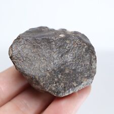 106g NWA Chondrite Meteorite  R1255 picture