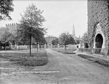 St Patrick's College Entrance Maynooth Co Kildare Ireland c1900 OLD PHOTO picture