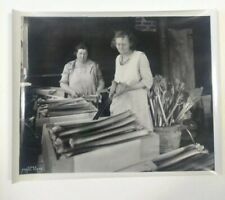 Asahel Curtis 57922 Northern Pacific Railway Women Packing Rhubarb March 1931 picture