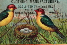 1870s-80s In German & English Gottschalk Bros. Clothing Mfg. Colorful Birds P157 picture