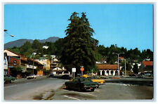 c1960's Mt. Tamalpais at Back Miller Avenue Mill Valley California CA Postcard picture