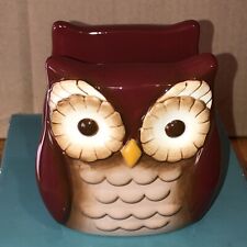 Adorable Ceramic Owl Napkin Holder Grasslands ￼road picture