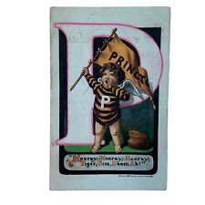 Postcard PRINCETON NJ 1909 FOOTBALL RALLY ANGEL PENNANT HOORAY TIGER SIS BOOM AH picture
