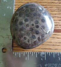 Polished Petoskey Stone 7.2oz Pic #1 True Color... picture