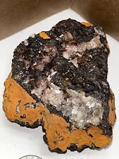 Hemimorphite on Limonite  with Varying Colored Crystals 7oz. picture