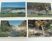 Lot of 4 Vtg Idaho Post cards Cascade Salmon River Twin Fawn One Of the Finest  picture