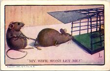 1907 Comic Funny Mouse Pulling Spouse Out Of Trap My Wife Wont Let Me Postcard picture