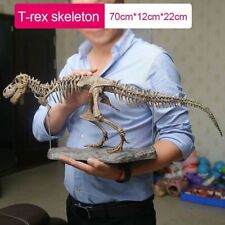 Large Dinosaur Skeleton Ornament Simulation Skeleton Model Jurassic Assembled picture