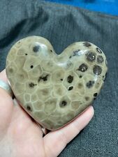 See Video Polished Petoskey Stone Carved Heart Shaped Michigan Treasure picture