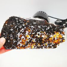 128g Sericho meteorite pallastie meteorite slice from Kenya  A1716 picture