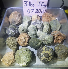 3 lb Lot of 17 - 20 Uncut Thundereggs Oregon Rough Geode Crystal ~  picture