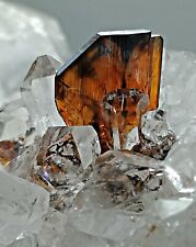 315 CT Unique Brookite Crystals on Quartz Crystals Cluster @ Baluchistan PK picture