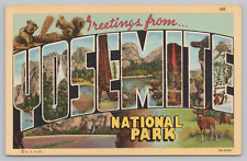 Postcard Large Letter Greetings From Yosemite National Park Unposted Linen picture