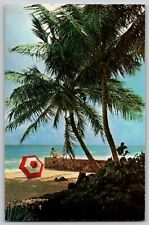 Florida FL - Beautiful Florida Beach Scene - Vintage Postcard - Unposted picture