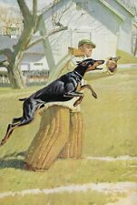 Doberman Pinscher - CUSTOM MATTED - Vintage Color Dog Art Print  picture