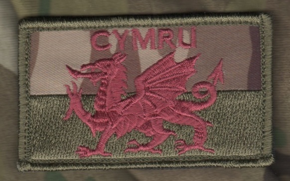 KANDAHAR WHACKER© NATO ISAF UK COALITION CAMP BASTION JTF FLAG: Wales UK (Cymru)