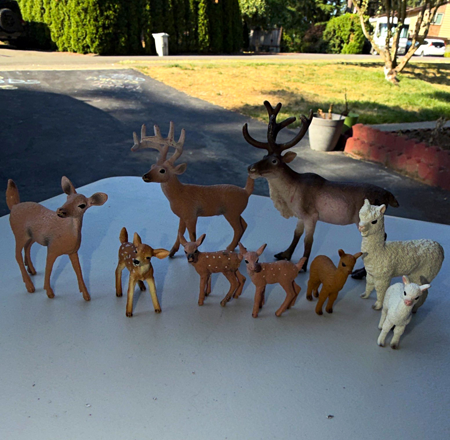 Schleich Plastic Figurine Lot 9- Deer, llama year 2020 Animal Class Figurines