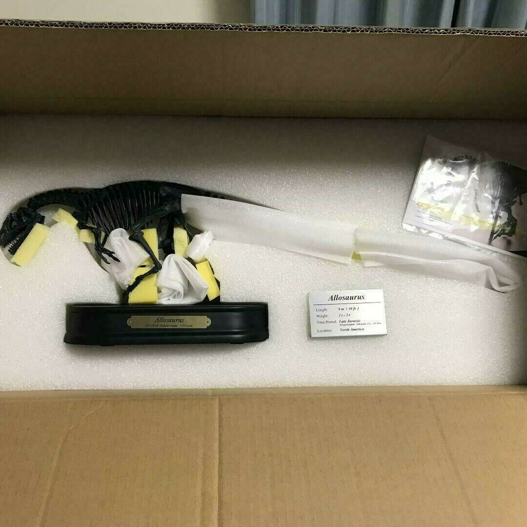 Favorite Allosaurus Skeleton Model FDS-605BK Figure Dinosaur 1/15 scale New JPN