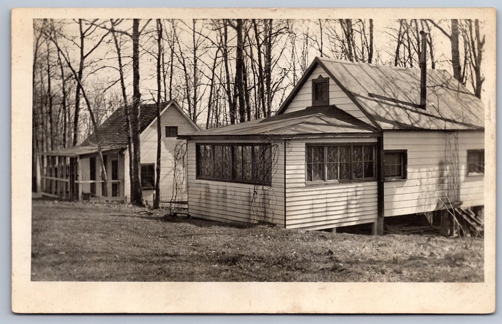 RPPC Wood Frame Cottage w/ Enclosed Porch in Woods Real Photo Postcard AZO c1910