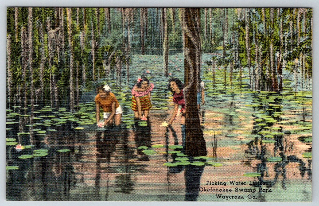 c1940s Okefenokee Swamp Park Waycross GA Water Lilies Linen