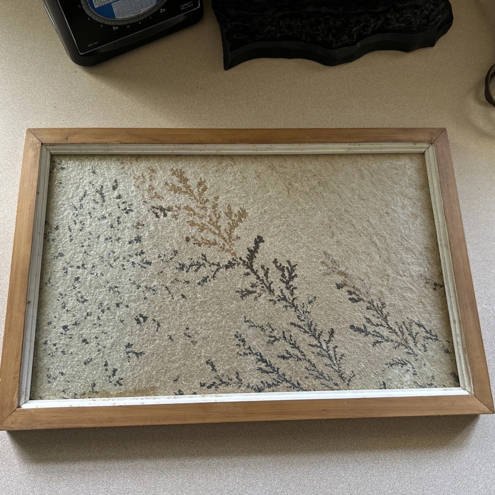 Framed natural manganese oxide dendrite embedded in sandstone slab 