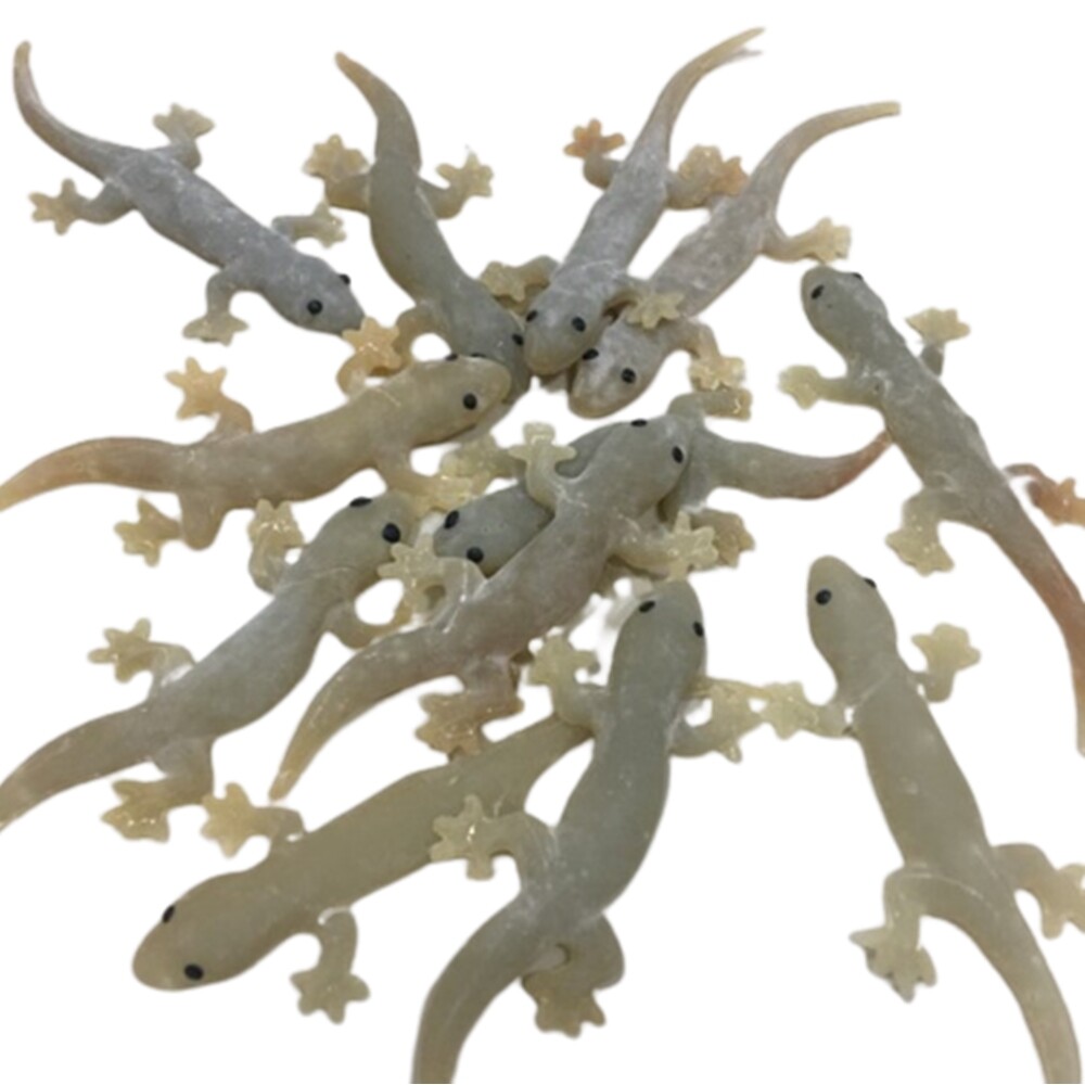 12PCS Realistic Gecko Lizard Rubber Cat Toy Interactive Life-like Reptile Figure