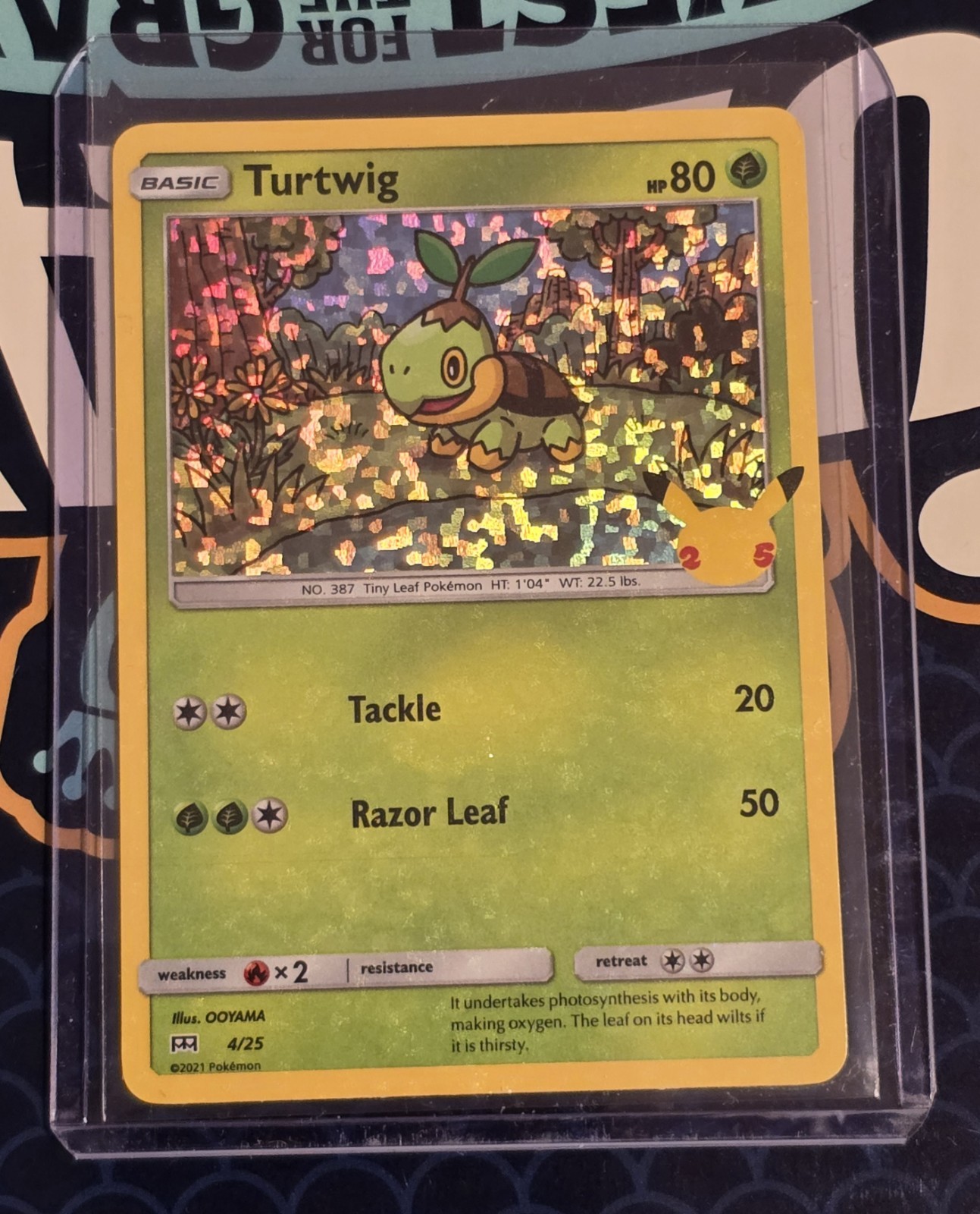 2021 McDonald's Pokémon 25th Anniversary TCG Turtwig 004/025 Holo NM Or Better 2021 McDonald's Pokémon 25th Anniversary TCG Turtwig 004/025 Holo NM Or Better