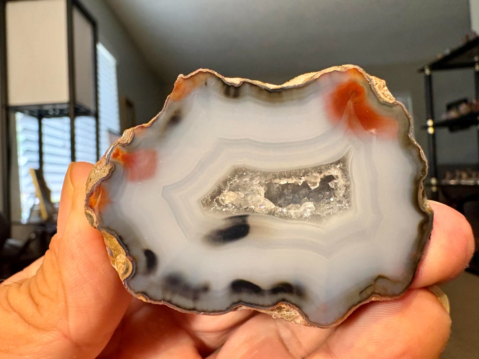 122.5 Gram Condor Half Agate Nodule Specimen - Fluorescent - Polished 122.5 Gram Condor Half Agate Nodule Specimen - Fluorescent - Polished
