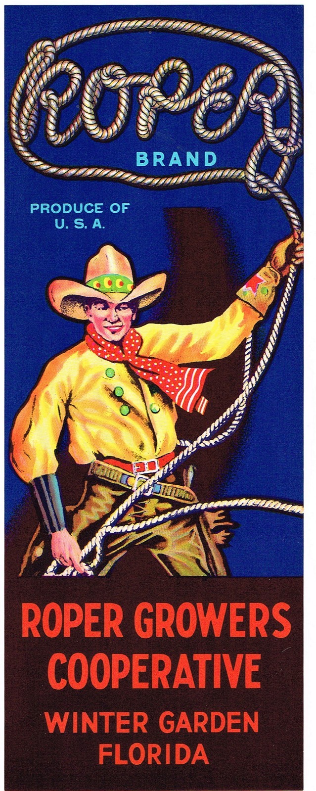 GENUINE CRATE LABEL FLORIDA ORANGE 1930 ROPER COWBOY LASSO RODEO WINTER GARDEN