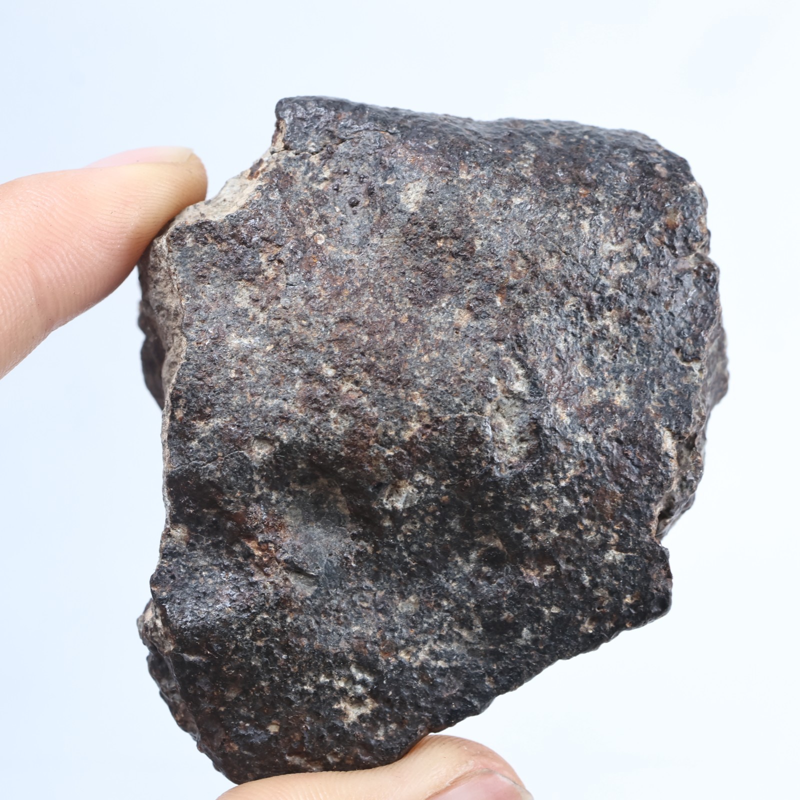 158g Chondrite Meteorite,NWA unclassified Meteorite From Northwest Africa AB784