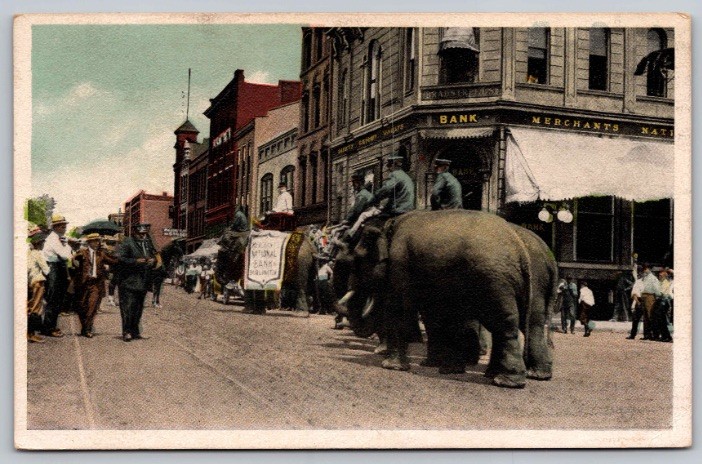 c1916 Circus Elephants Merchants National Bank Burlington Iowa IA Postcard c1916 Circus Elephants Merchants National Bank Burlington Iowa IA Postcard