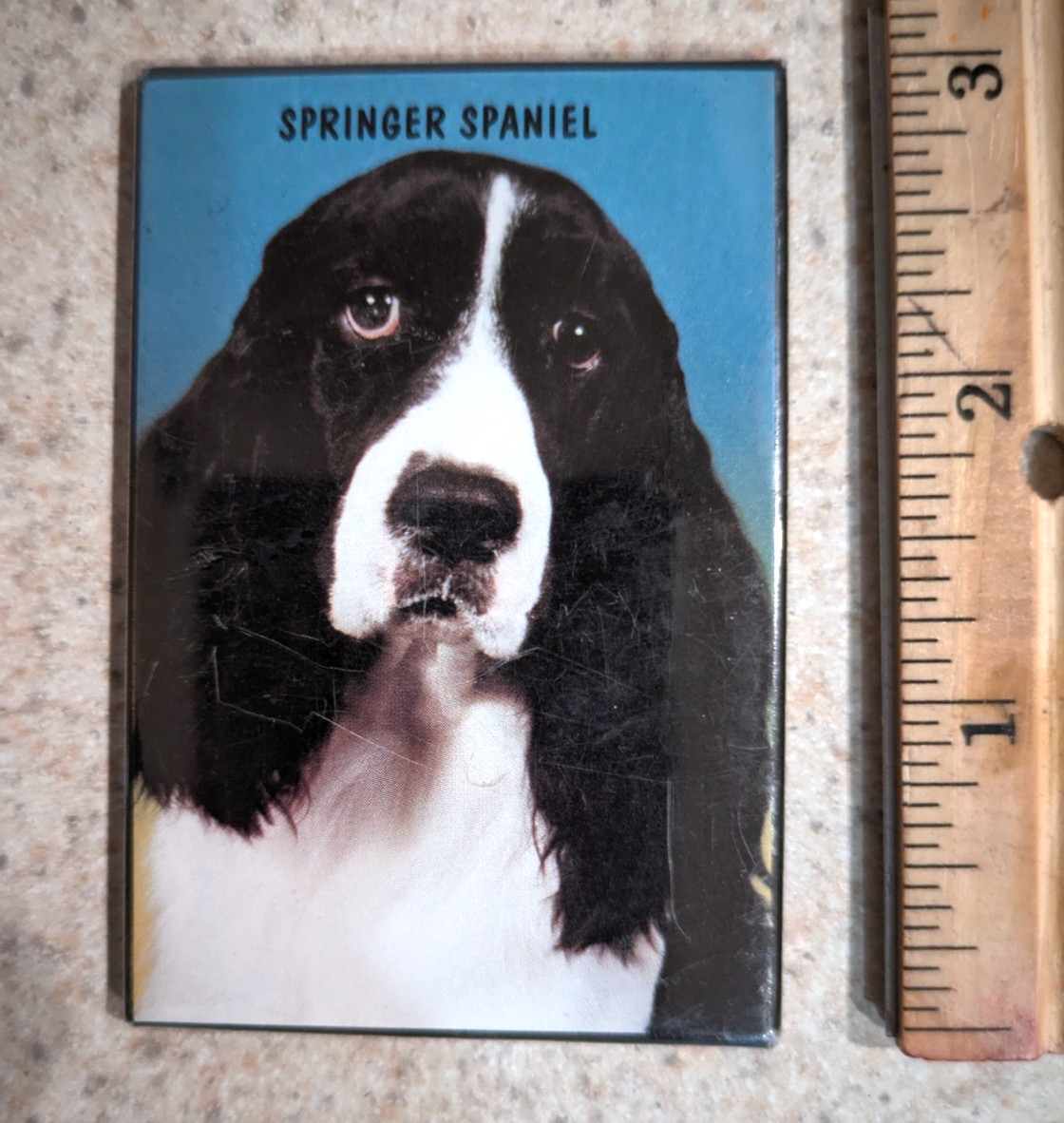 Vintage Springer Spaniel  DOG Breed REFRIGERATOR MAGNET Frdige SWIBCO 90s
