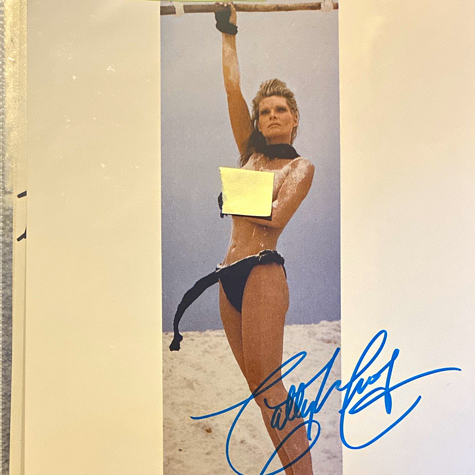 Vintage Cathy Ireland Signed Original Model Photo Autograph (Not Authenticated)