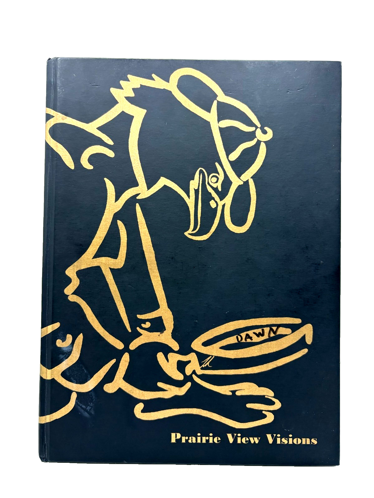 2003 Prairie View VisionsYearbook Vol 10 PrairieView MiddleSchool Tinley Park IL