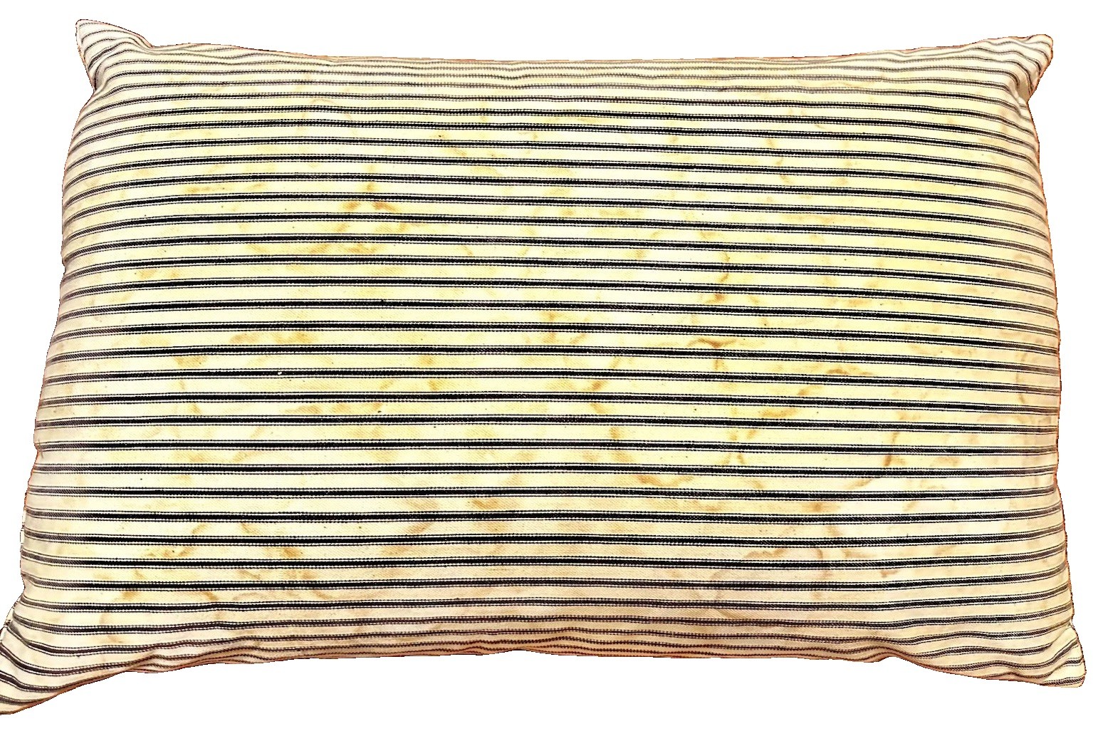 Vintage Feather Pillow Blue White Ticking  23x15” Farmhouse Cottage Core ￼