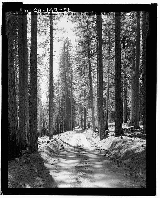 Photo:Yosemite Village California Tioga Road 1900s Forest Road Snow Pines