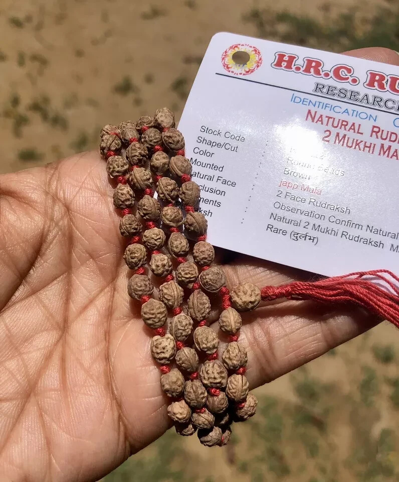 LAB CERTIFIED Rare 2 Mukhi RUDRAKSHA Rudraksh Mala ROSARY 108+1 Prayer Beads LAB CERTIFIED Rare 2 Mukhi RUDRAKSHA Rudraksh Mala ROSARY 108+1 Prayer Beads