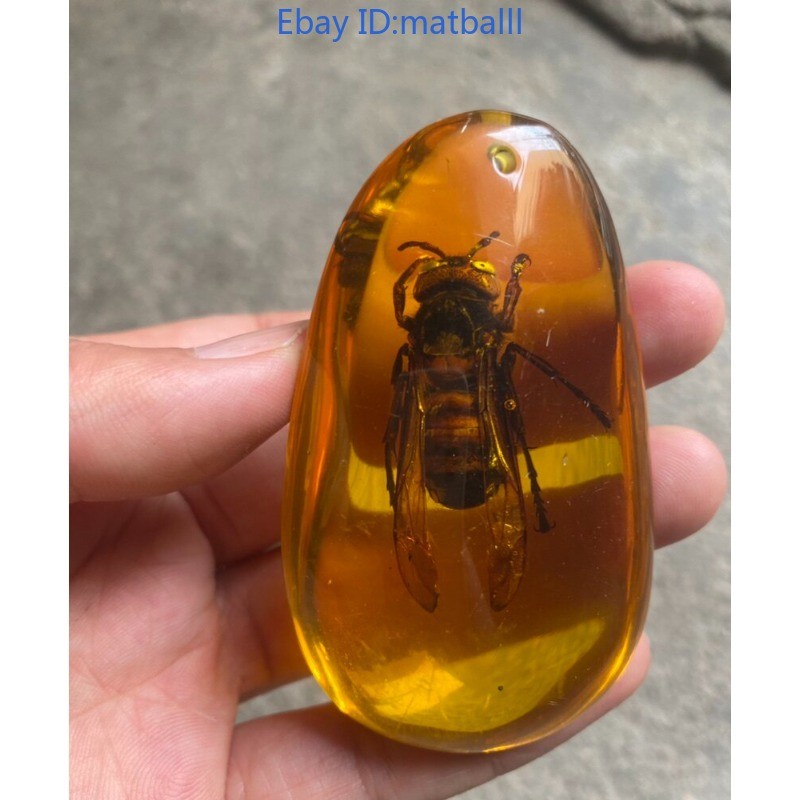 Amber Resin Insect Specimen Hand Play Piece Pendant Necklace Collectible Gift
