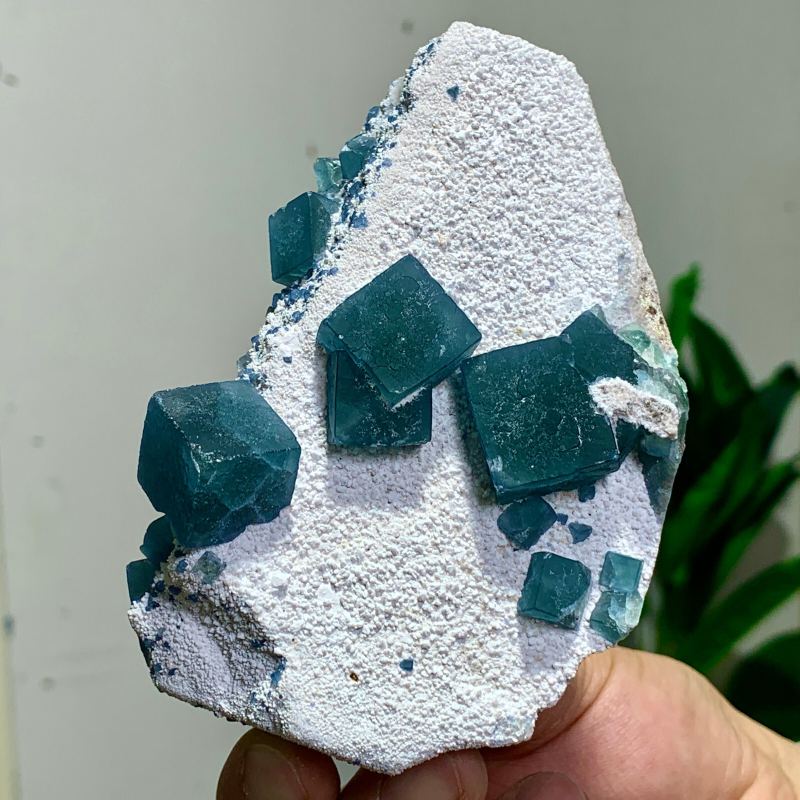 260G Natural Crystal rare transparent blue cubic fluorite sample