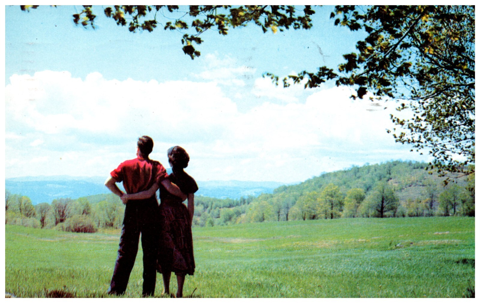 Postcard A Couple Enjoying Their Honeymoon in the Country