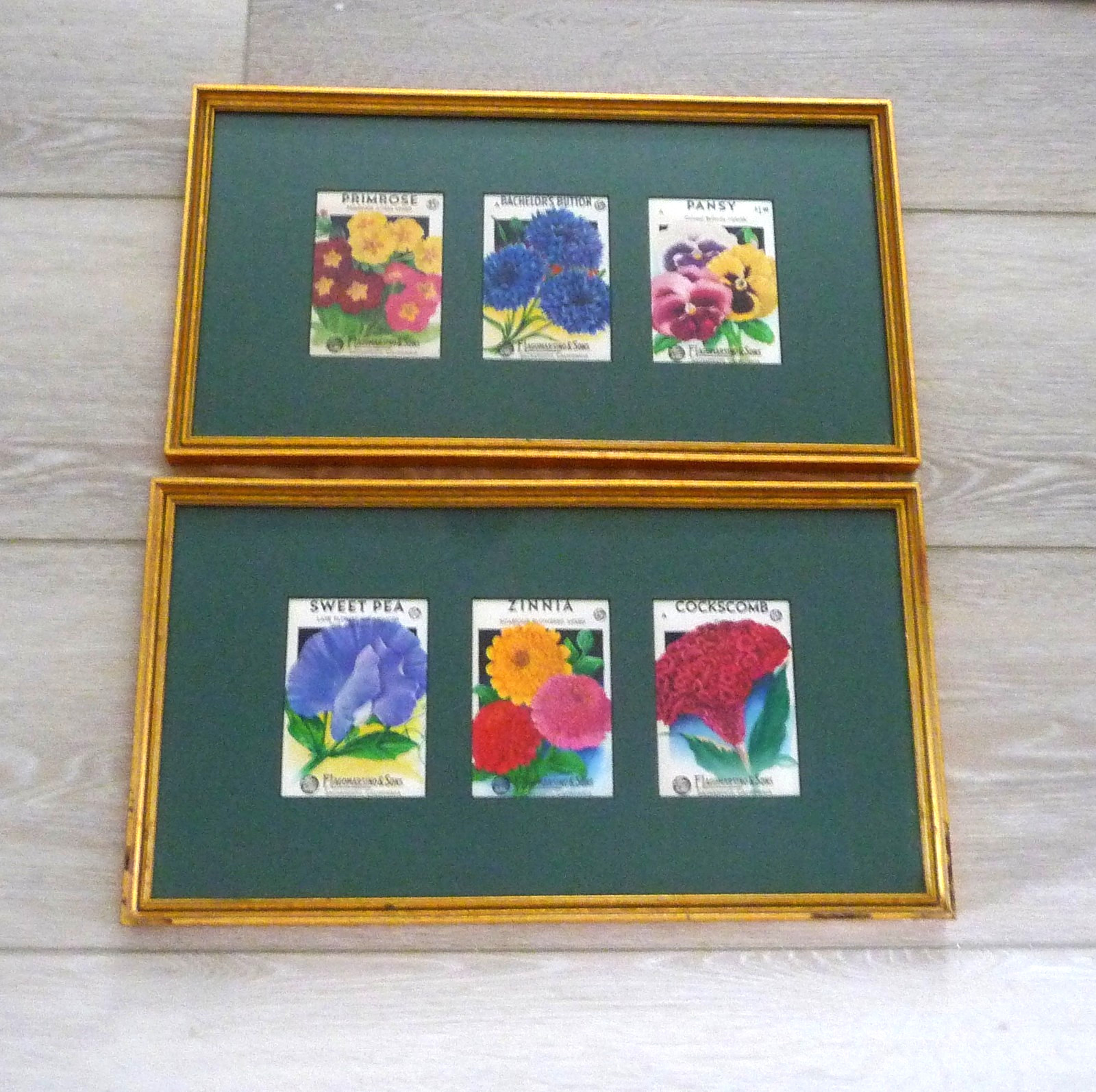 Pair Framed Vintage Flower Seed Packets, 1940s F. Lagomarsino & Sons Sacramento Pair Framed Vintage Flower Seed Packets, 1940s F. Lagomarsino & Sons Sacramento