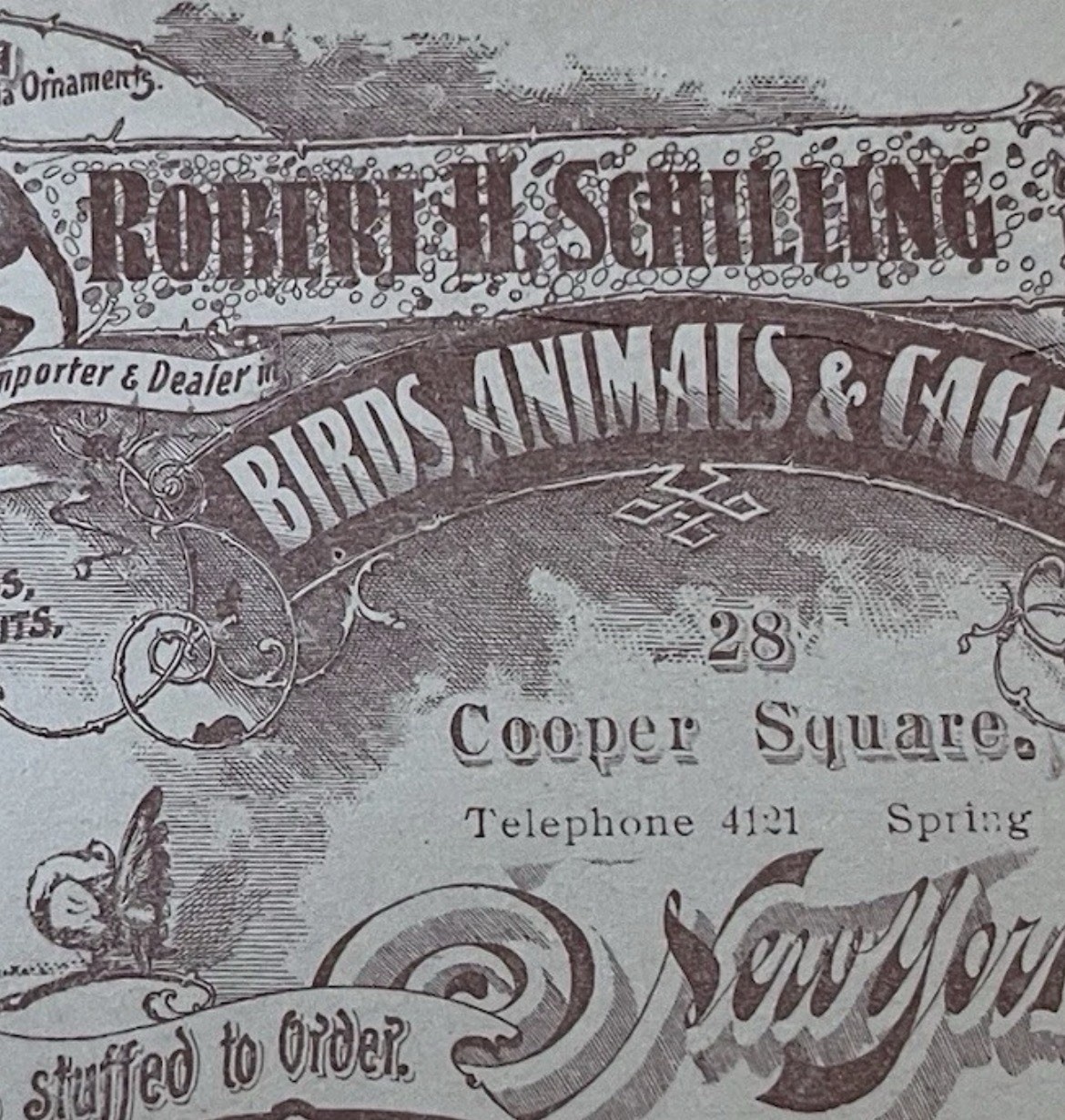 SIGNED 1900 Trade Card Robert Schilling Animals Birds Cages New York Victorian SIGNED 1900 Trade Card Robert Schilling Animals Birds Cages New York Victorian