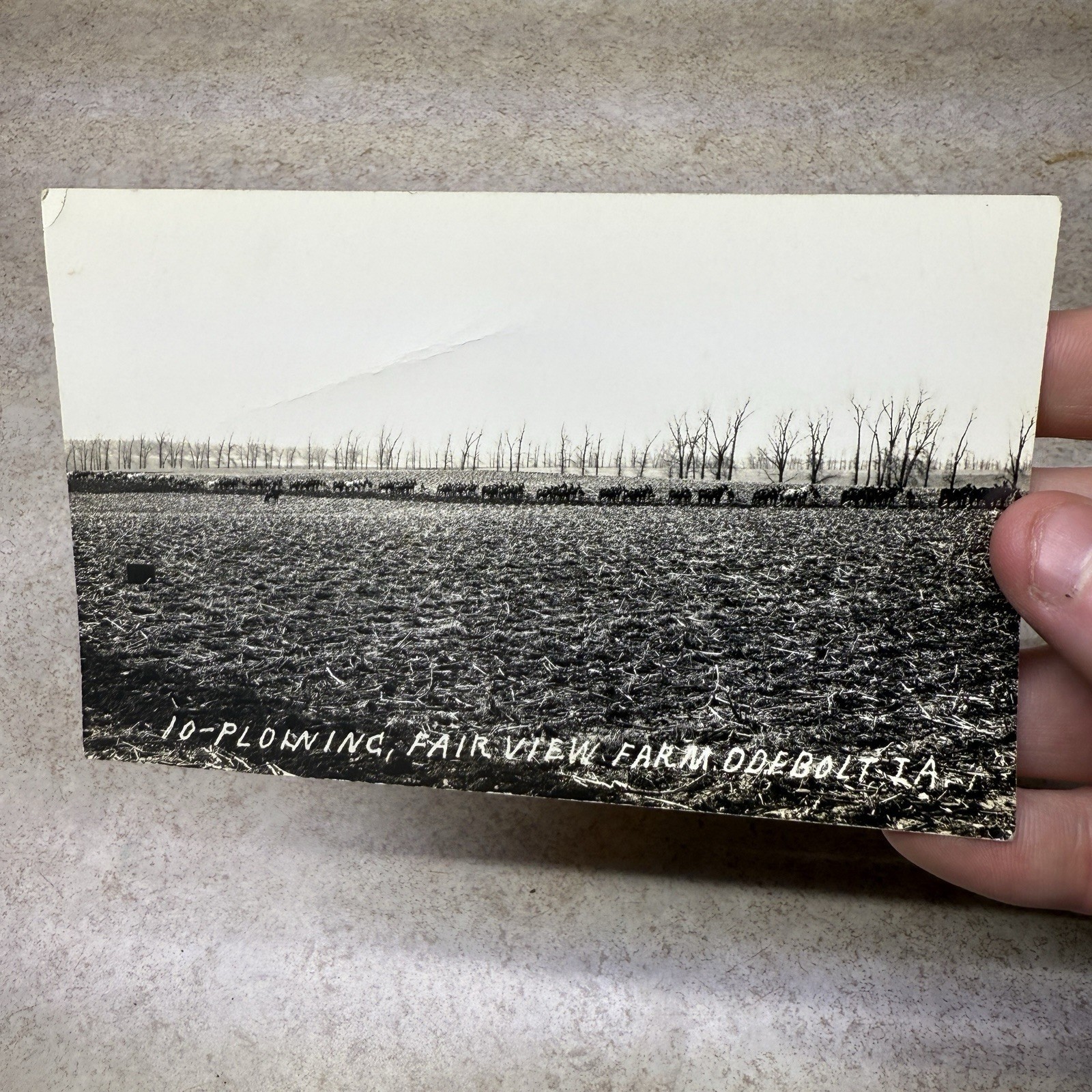 RPPC Photo Postcard Plowing at Odebolt IA Iowa Fairview Farm RPPC Photo Postcard Plowing at Odebolt IA Iowa Fairview Farm