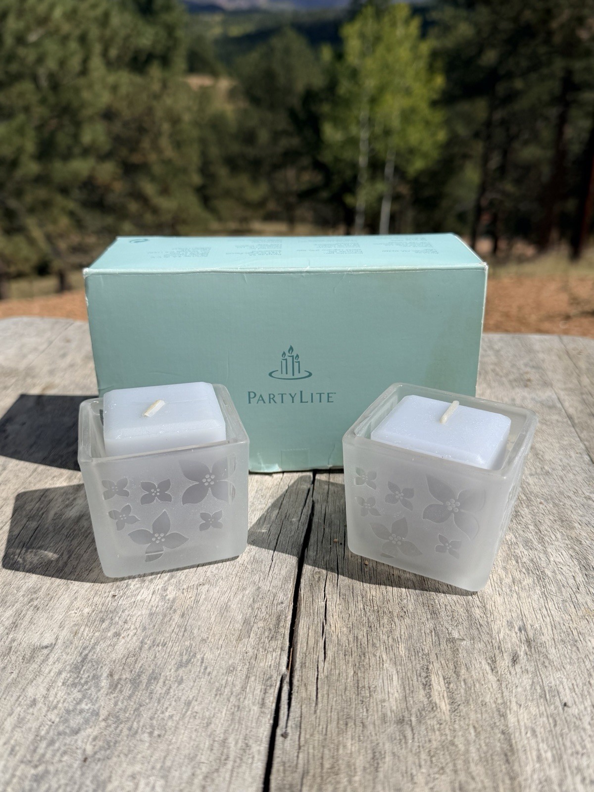 Vintage PartyLite Candle Holders Set of 2 Retired Fruit Fantasy Original Box Vintage PartyLite Candle Holders Set of 2 Retired Fruit Fantasy Original Box
