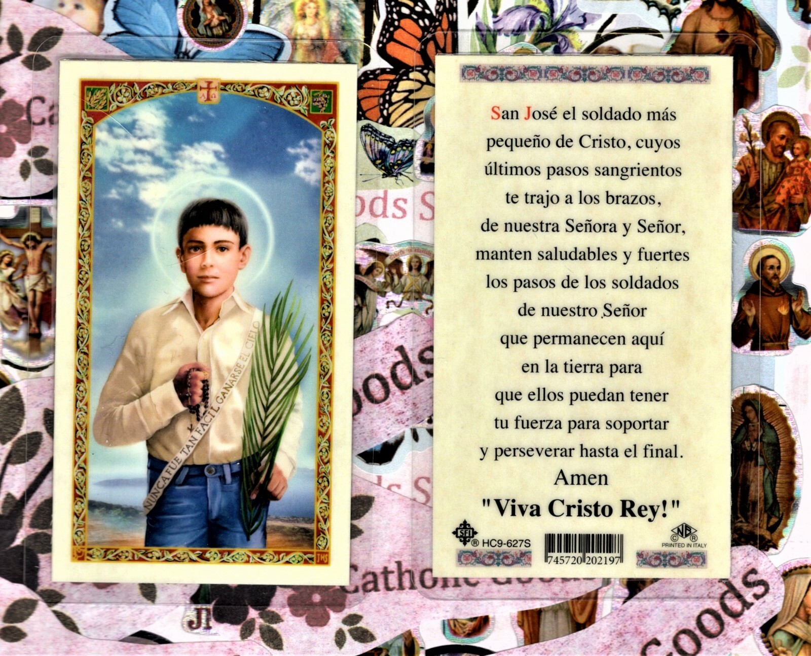 Saint St. Jose Luis Sanchez del Rio - Spanish - Laminated  Holy Card