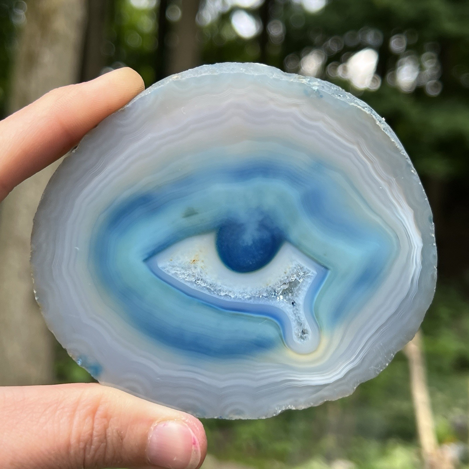 Rare Natural Blue Eye Agate Slice Druzy Crystal Tear OOAK Collector Specimen