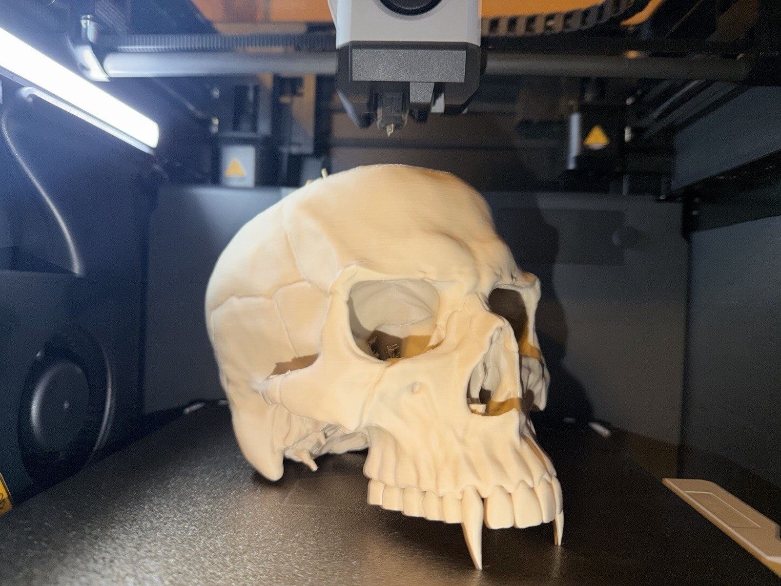 vampire skull 3d print vampire skull 3d print