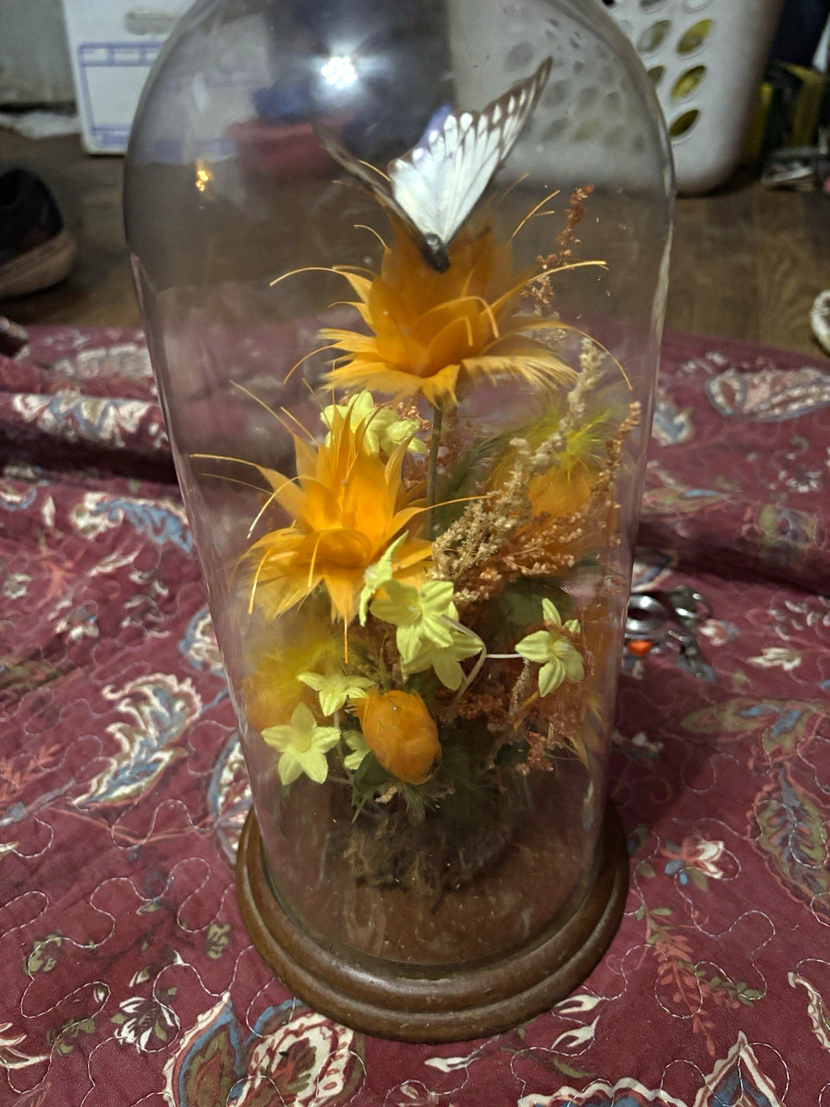Vintage Butterfly Display Glass Dome Cloche with Floral Arrangement on Wood Base