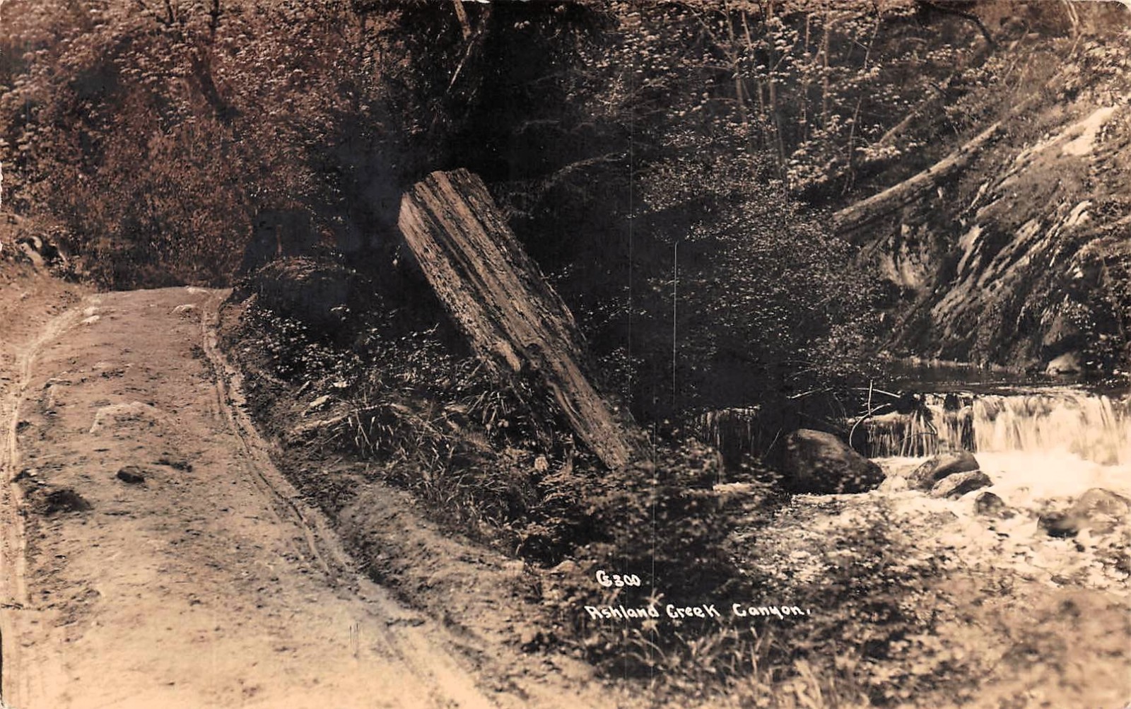 RPPC Mount Ashland Creek Oregon Cascade Waterfall Photo Vtg Postcard 6A