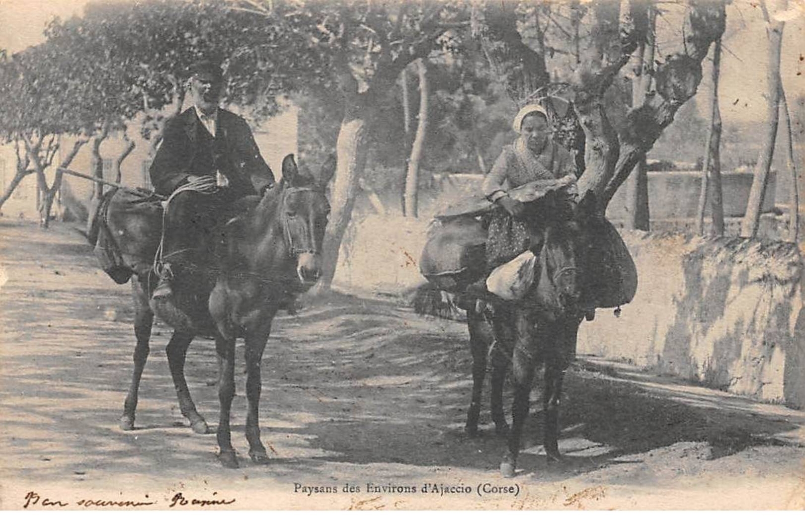 20 - AJACCIO - SAN42047 - Farmers From The Surroundings Of Ajaccio 20 - AJACCIO - SAN42047 - Farmers From The Surroundings Of Ajaccio